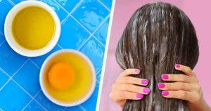 Comment faire pousser les cheveux naturellement avec de l’huile de ricin