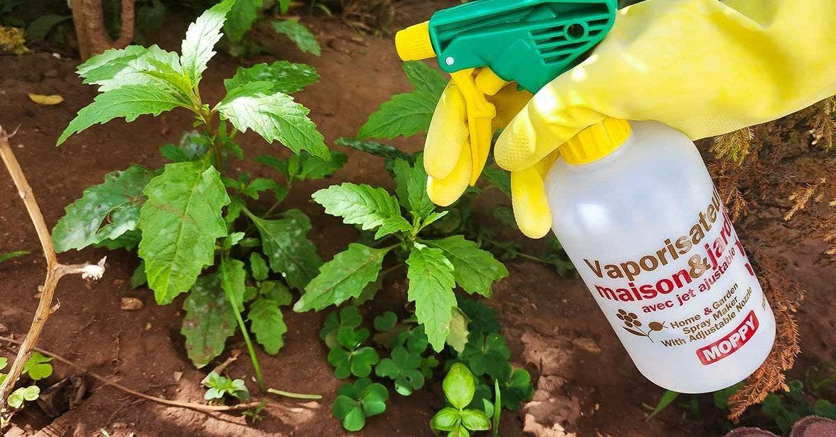 Comment faire un désherbant naturel avec du bicarbonate et vinaigre final