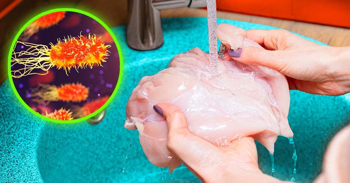 Comment laver le poulet pour éviter la salmonelle