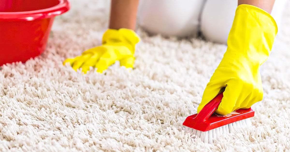 Comment nettoyer efficacement un tapis Conseils et astuces de nettoyage
