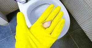 Comment nettoyer et désinfecter les toilettes avec de l’ail