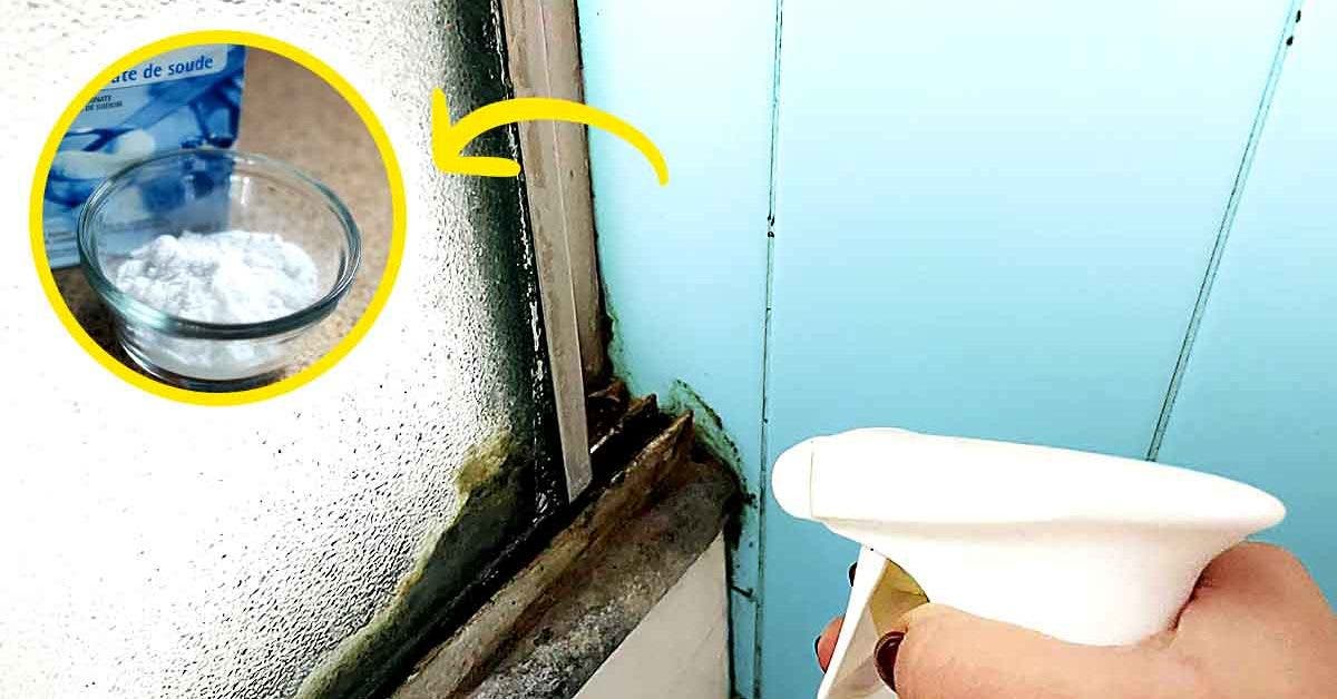 Comment nettoyer la douche pour éliminer toute la saleté et les moisissures3