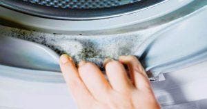 Comment nettoyer la saleté et la moisissure du joint de la machine à laver