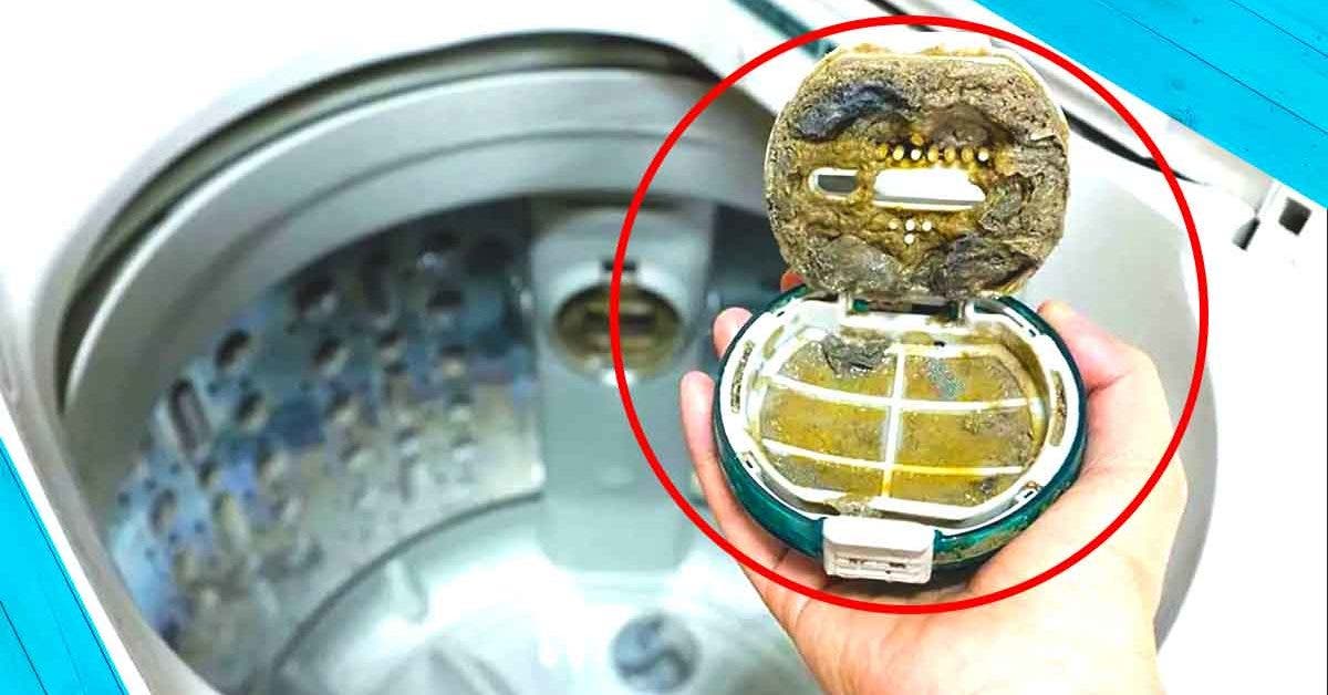 Comment nettoyer le filtre de la machine à laver pour la rendre comme neuve  ?