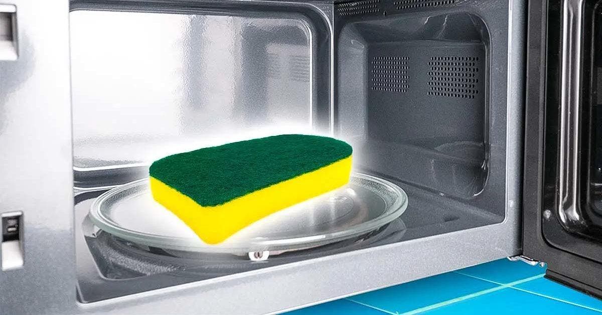 Comment nettoyer les éponges à vaisselle avec l'astuce du micro-onde