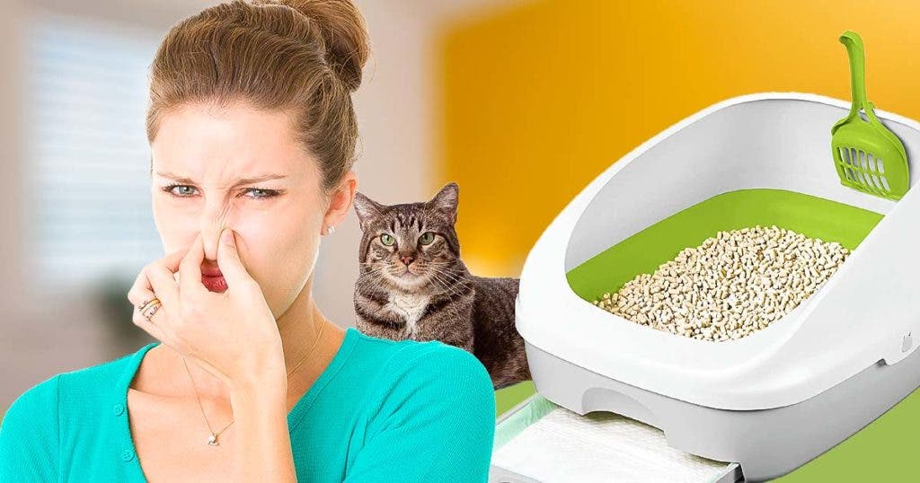 Comment se débarrasser de la mauvaise odeur de l’évier