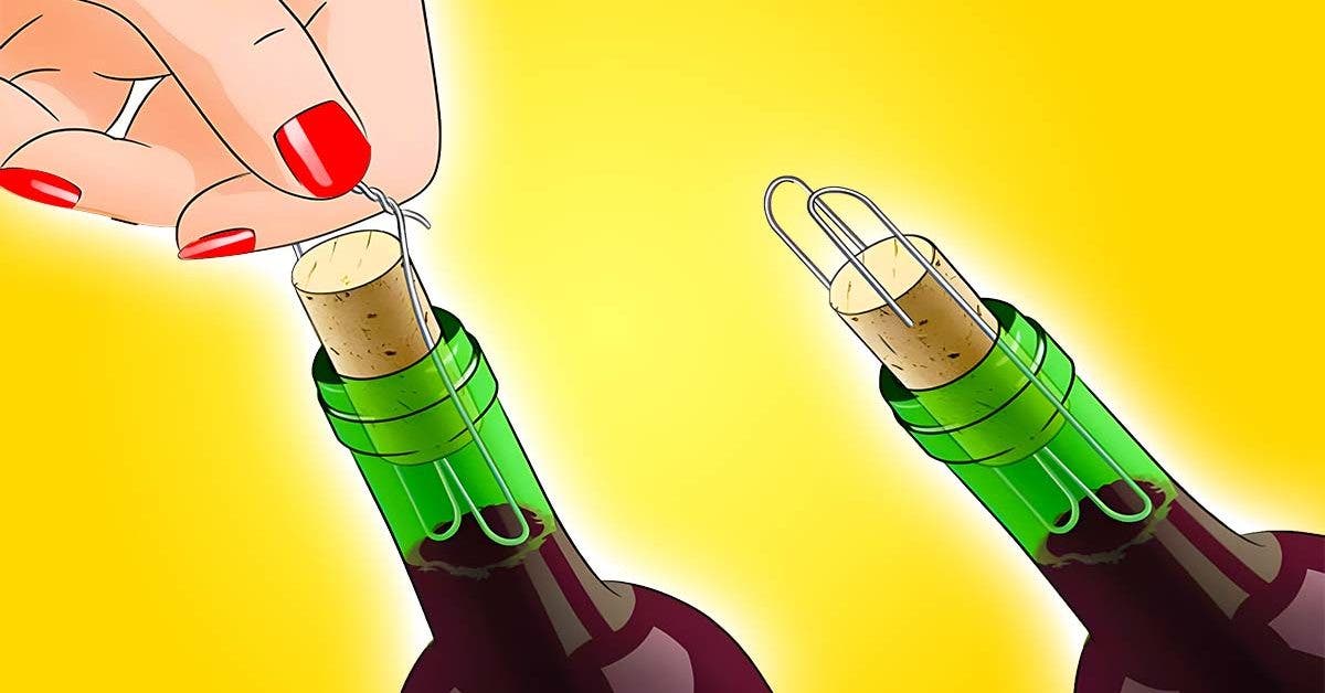 Comment ouvrir une bouteille de vin sans tire-bouchon0011