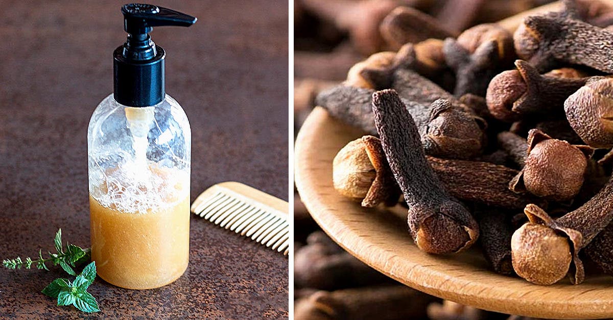 Recette : le célèbre shampoing au clou de girofle pour sublimer les cheveux