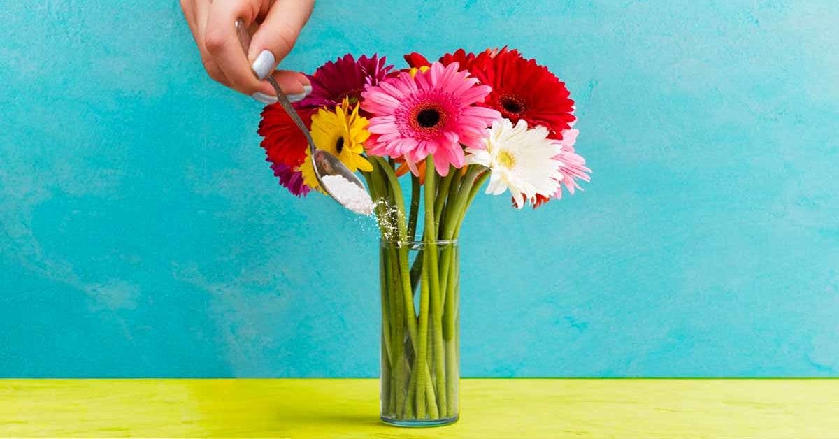 Comment prolonger la durée de vie des fleurs dans un vase ?