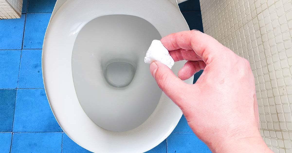 Comment réaliser des boules nettoyantes pour les toilettes final