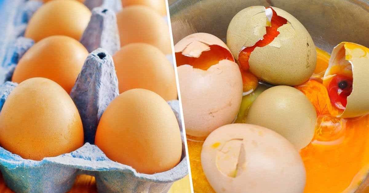 Comment reconnaître un œuf périmé avant de le consommer001