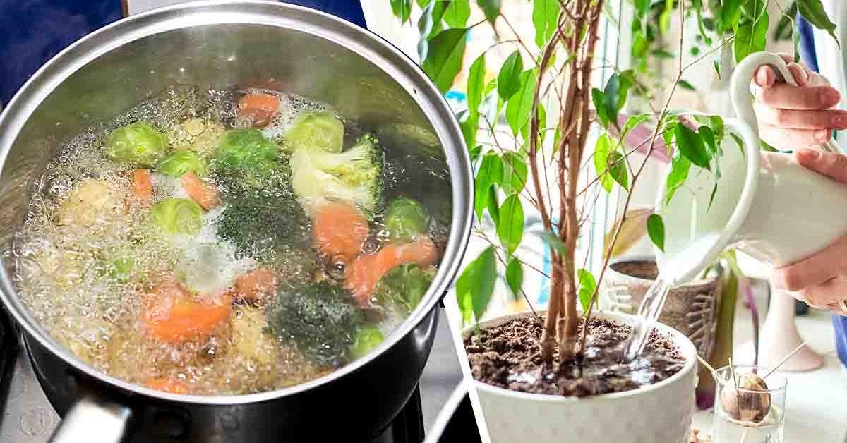 Comment recycler l'eau de cuisson des légumes01