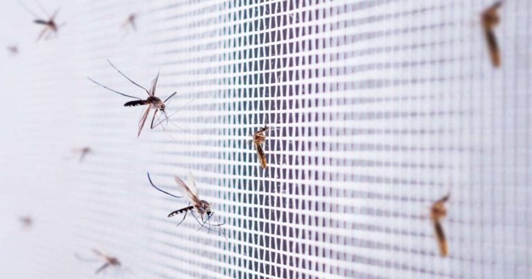 Comment réussir à retirer une bague sur un doigt gonflé