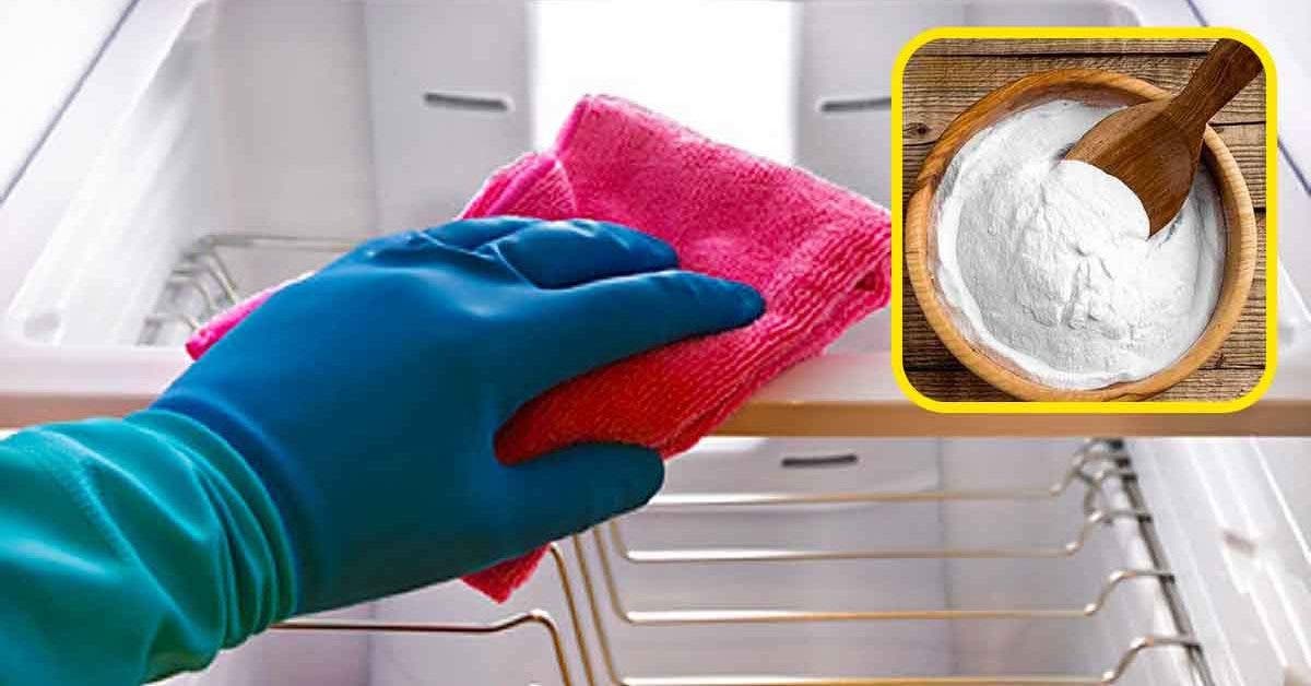 Comment se débarrasser de l'odeur désagréable du réfrigérateur 5 remèdes incontournables