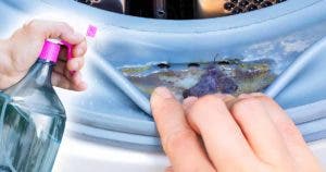 Comment se débarrasser des moisissures de la machine à laver ?