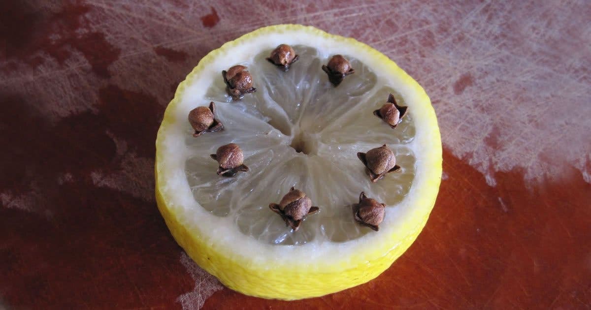 Répulsif de mouche à base de citron et de clous de girofle