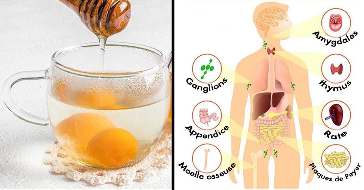 Mélangez de l’eau au miel pour réduire le cholestérol, combattre les bactéries, améliorer la digestion et bien plus encore