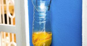 Comment transformer une bouteille d'eau en piège à mouches_