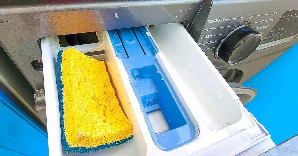 Comment utiliser une éponge pour éliminer la moisissure du bac à lessive