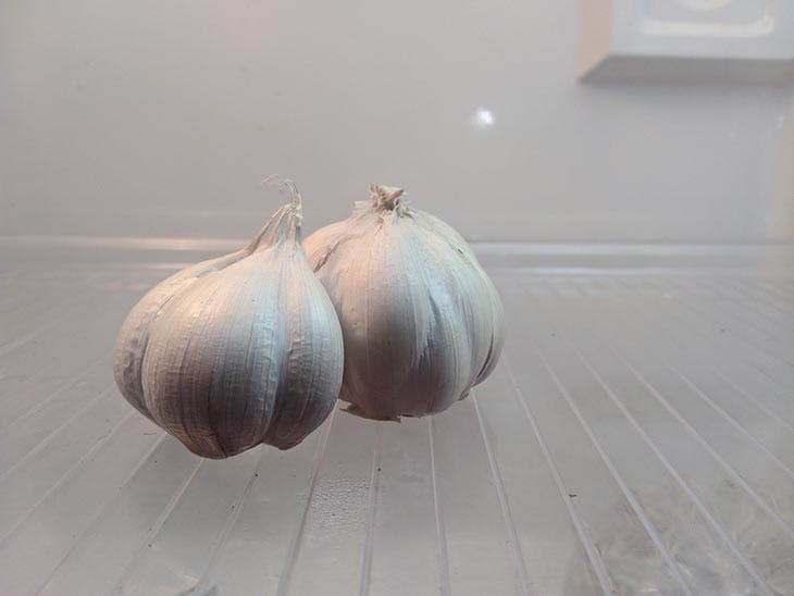 Store garlic in the fridge