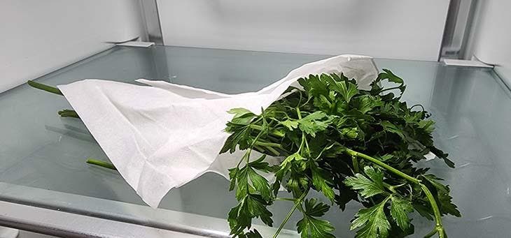 Conserver le persil dans du papier essuie-tout Conserver le persil dans du papier essuie-tout