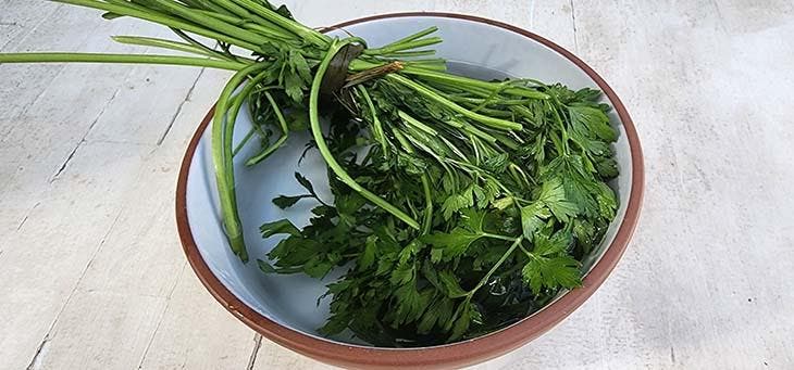 Store the parsley in water 