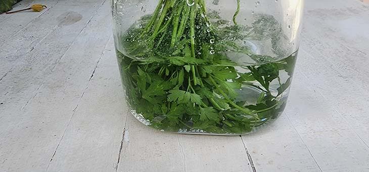 Store parsley in a jar 