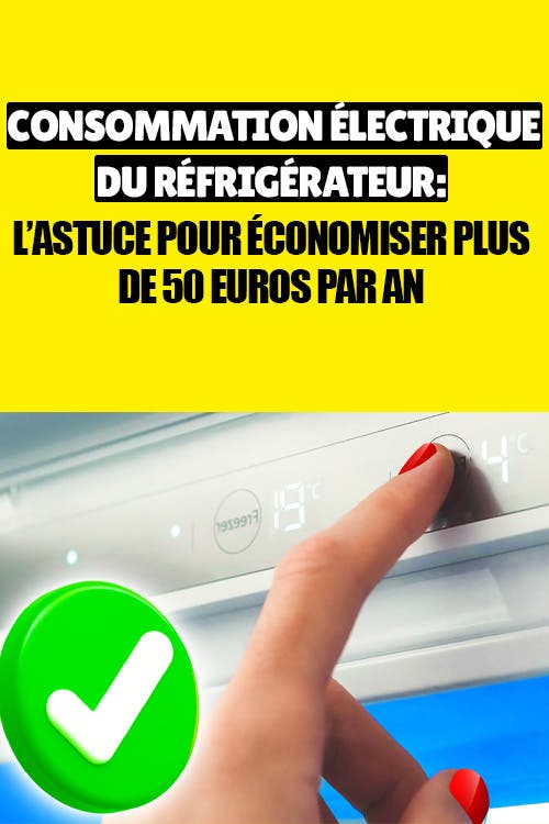 Consommation électrique du réfrigérateur : l’astuce pour économiser plus de 50 euros par an