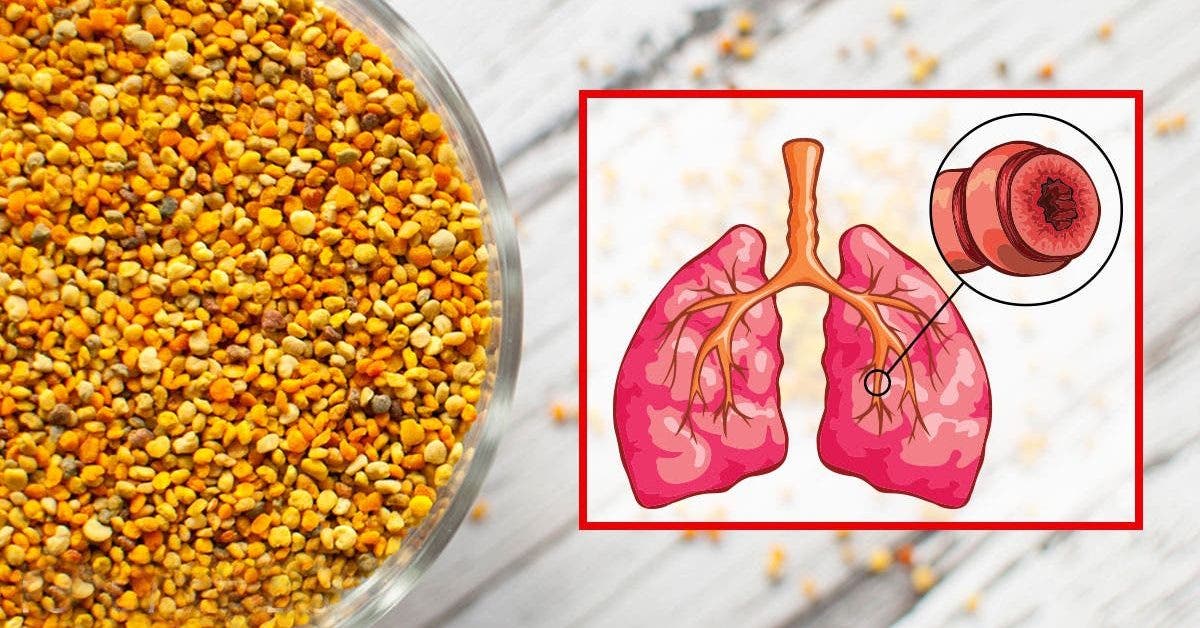 Consommez une cuillere de pollen par jour pour soigner les allergies