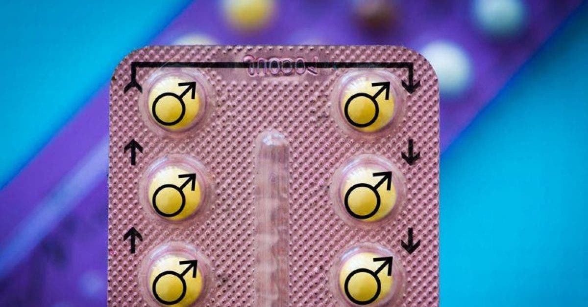 Contraception la pilule pour homme bientot sur le marche 1