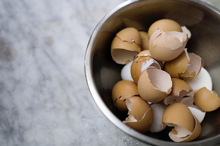 Coquilles d’oeufs