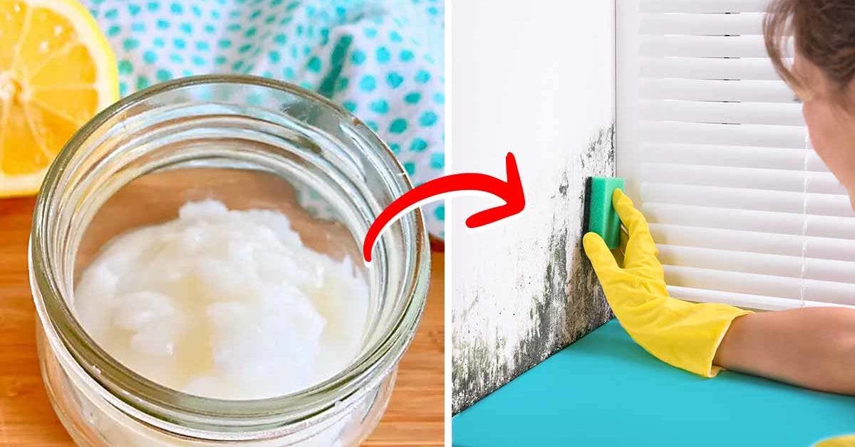 Crème anti-moisissure à faire soi-même idéale pour les murs et les carreaux