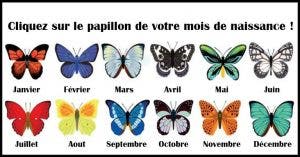 Découvrez ce que le papillon de votre mois de naissance révèle à propos de vous