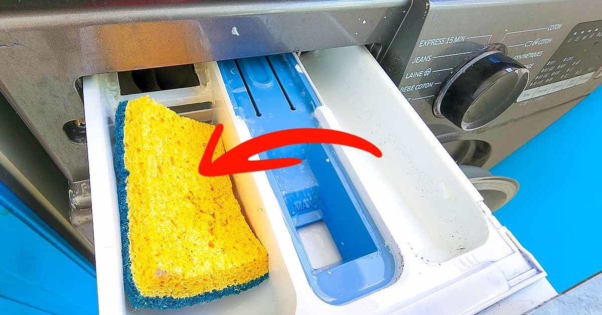 Déposez une éponge à vaisselle dans le bac du lave-linge