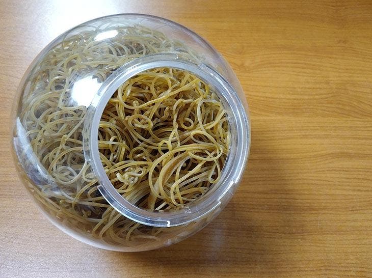 rubber bands in a jar