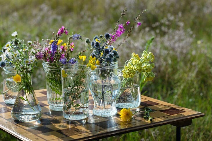 Des fleurs dans un vase rempli deau