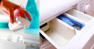 Des moisissures dans le tiroir de la machine à laver ? Une astuce de génie pour l’éliminer