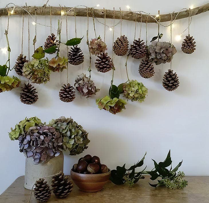 Hanging pinecones