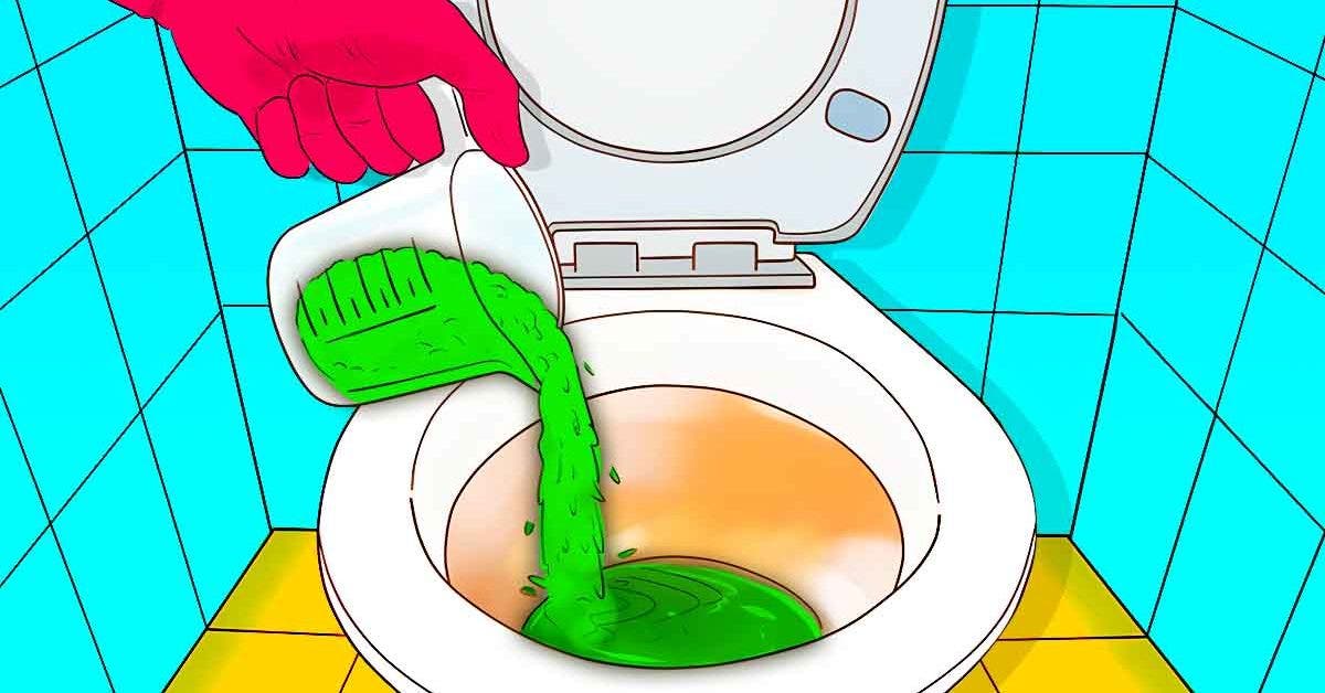 Comment éliminer les mauvaises odeurs des toilettes et libérer les  canalisations ?