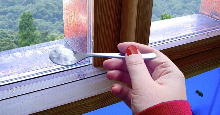 Piège à moustiques maison : 6 astuces pour les éloigner