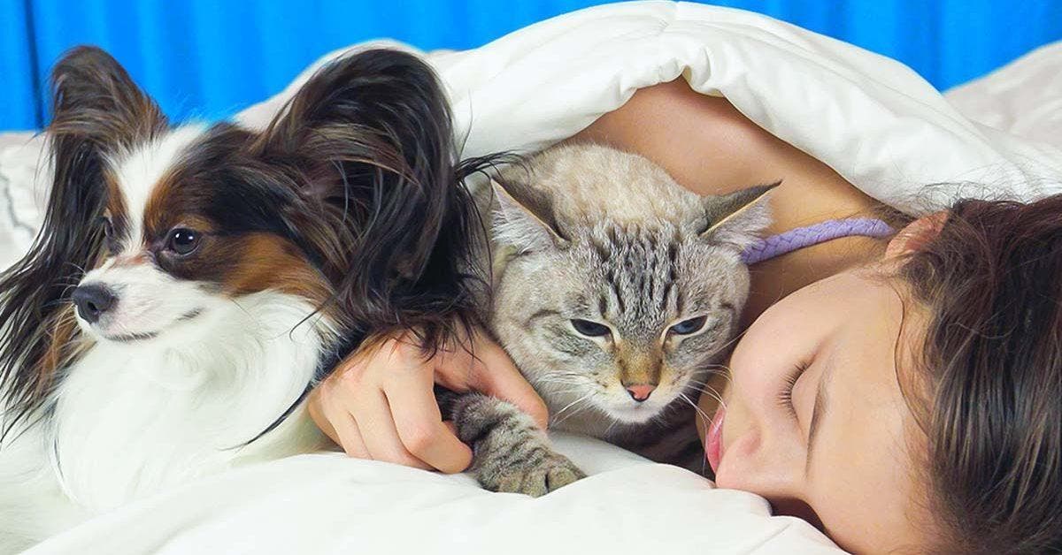 Dormir avec son chien ou son chat est une mauvaise idée final