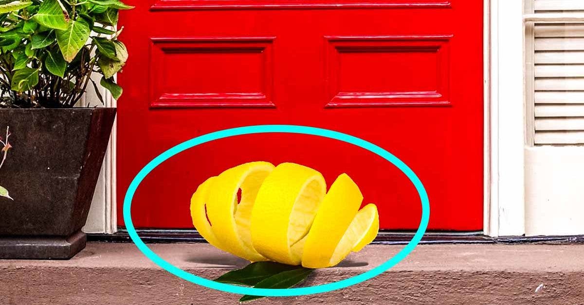 Écorces de citron, la raison surprenante pour laquelle vous devriez les mettre devant la porte d'entrée