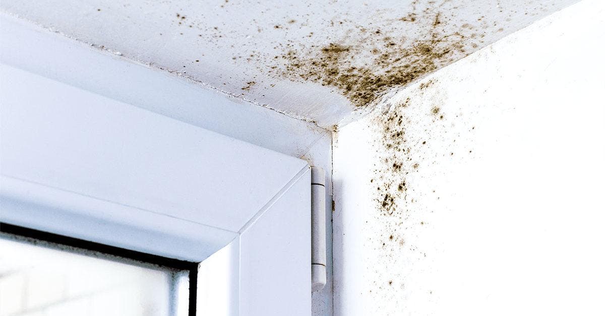 Éliminez facilement la moisissure du plafond avec un ingrédient surprenant que vous avez à la maison final
