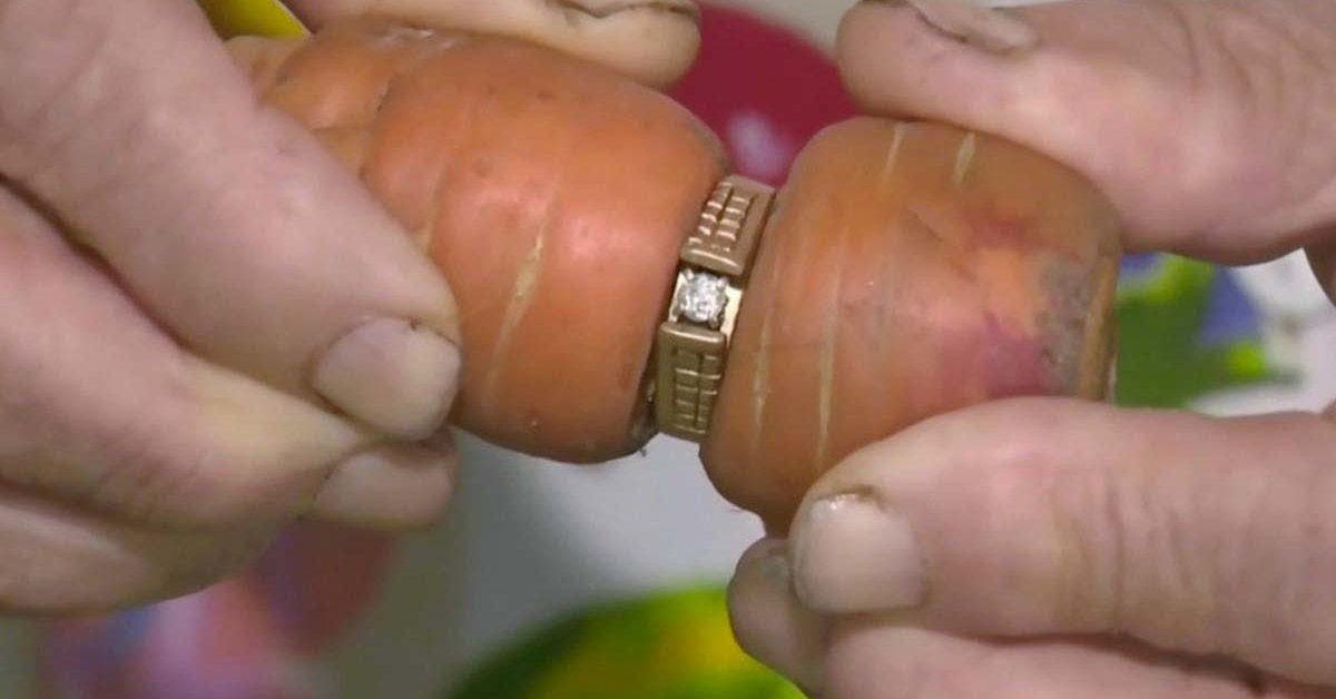 Elle perd sa bague de fiançailles dans le jardin après 13 ans, elle la retrouve autour d'une carotte