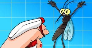 Éloignez les moustiques de votre maison avec une astuce simple