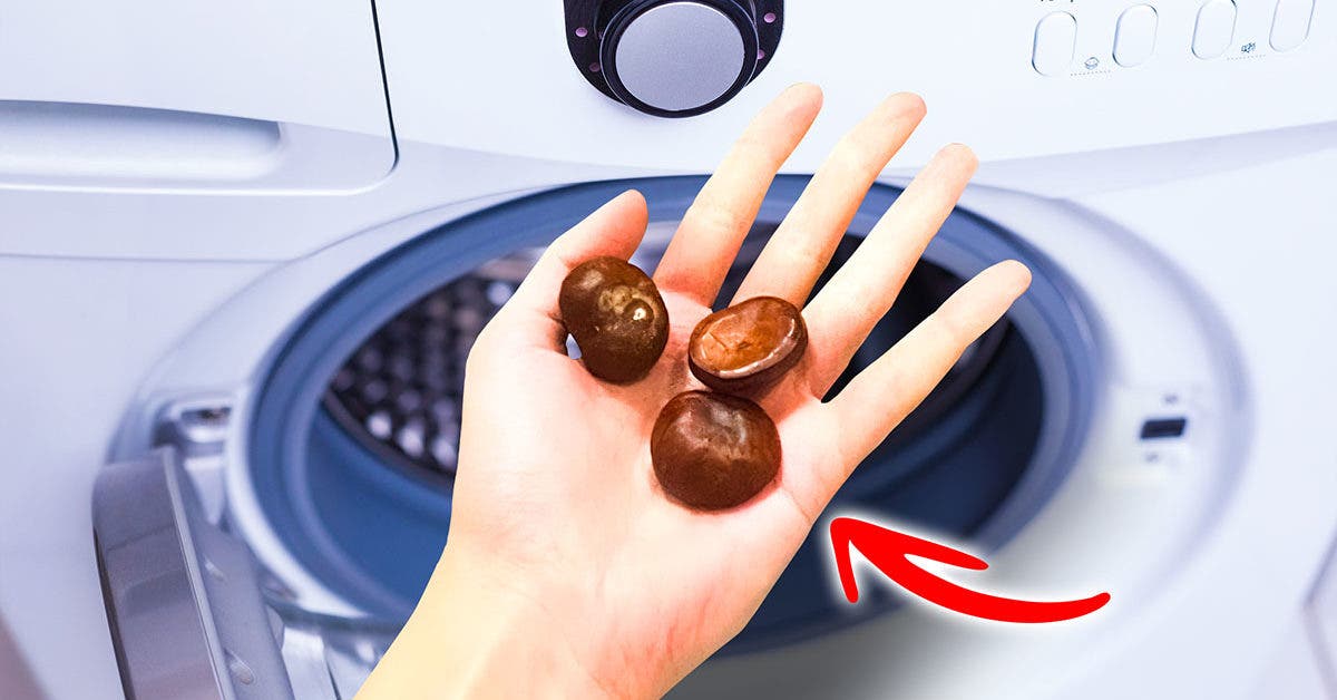En automne, je jette 3 marrons dans la machine à laver. Ils me font gagner beaucoup de temps et d'argent