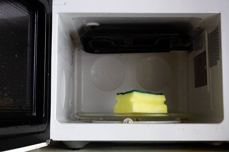 Microwave sponge