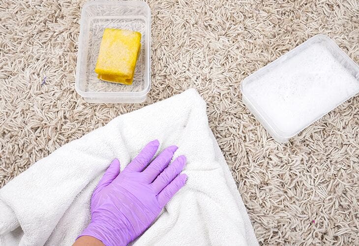Essuyer le tapis en laine avec un chiffon Essuyer le tapis en laine avec un chiffon
