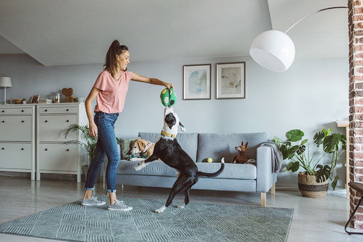 Femme jouant avec son chien