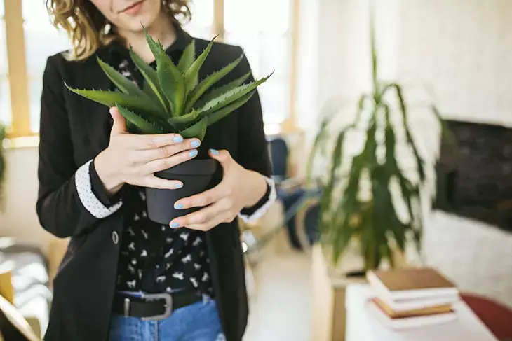 Woman holding an aloe vera plant